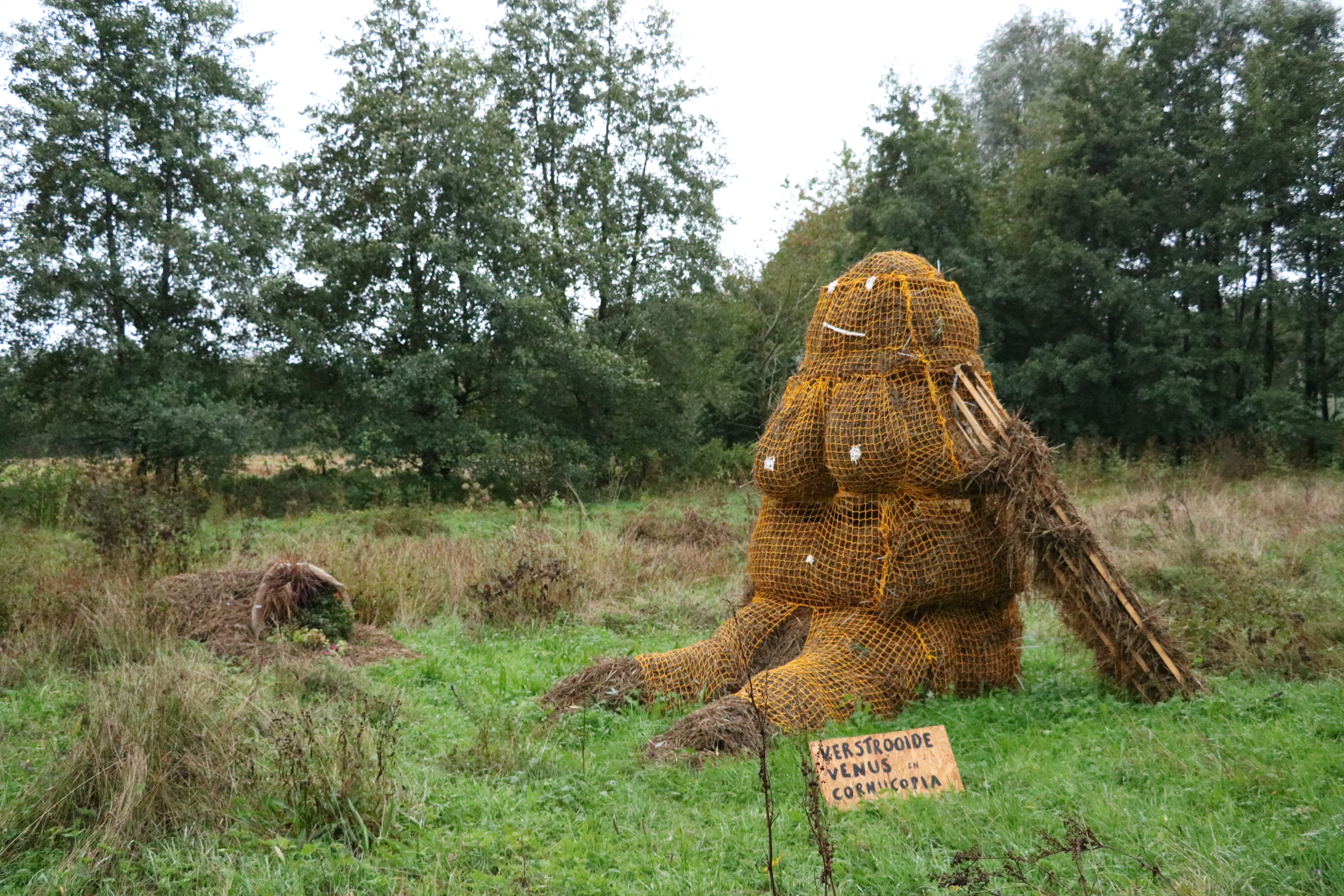 Verstrooide Venus